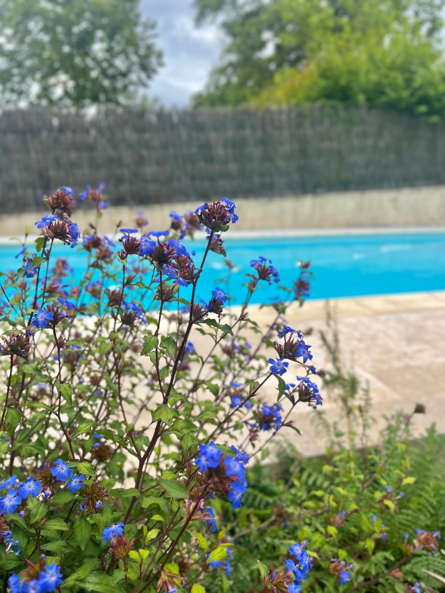 Chambres Cosy Ben & Nad Proches Du Puy Dufou Saint-Aubin-des-Ormeaux Eksteriør billede